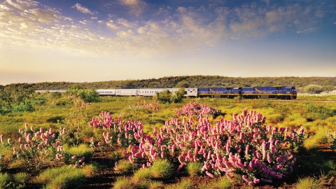 Indian Pacific: Perth-Sydney (4 días/3 noches)